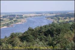 Auenlandschaft Elbe