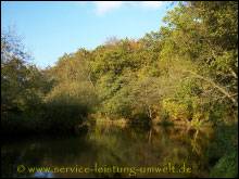 Ilmenau